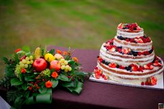 Fra_Ire_matrimonioi_109