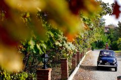 Fra_Ire_matrimonioi_48